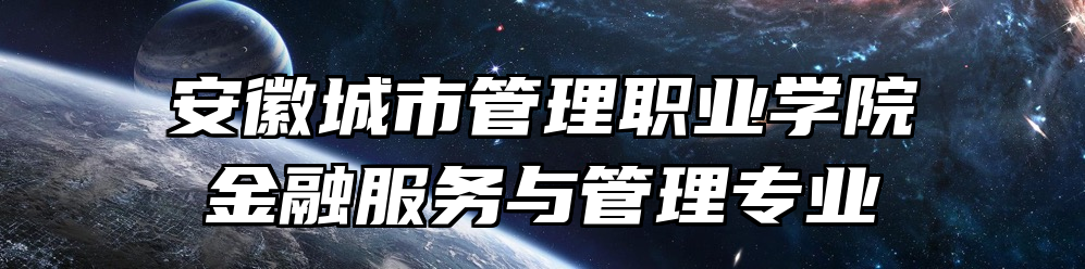 安徽城市管理职业学院金融服务与管理专业