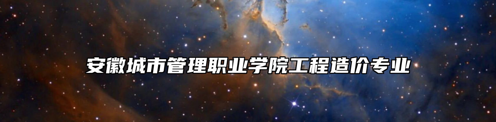 安徽城市管理职业学院工程造价专业