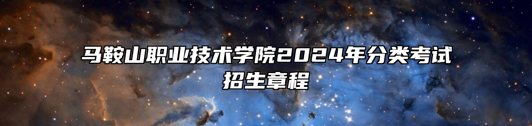 马鞍山职业技术学院2024年分类考试招生章程