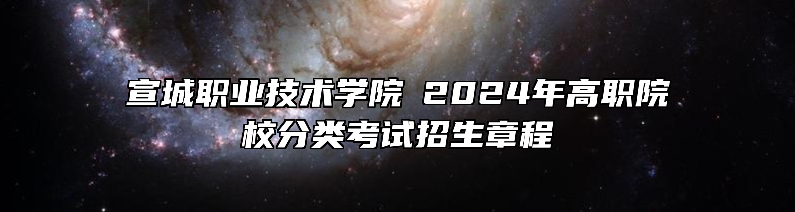 宣城职业技术学院​2024年高职院校分类考试招生章程