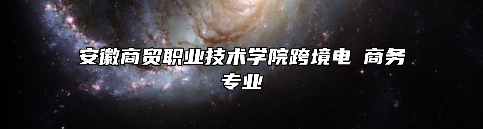 安徽商贸职业技术学院跨境电⼦商务专业