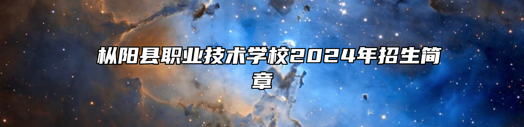  枞阳县职业技术学校2024年招生简章