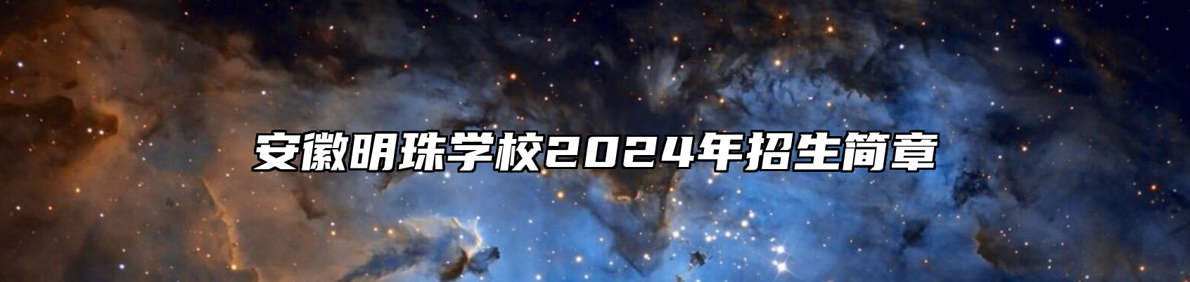 安徽明珠学校2024年招生简章