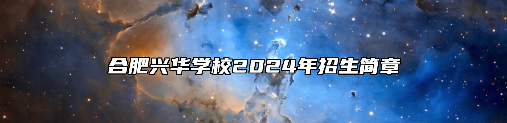 合肥兴华学校2024年招生简章