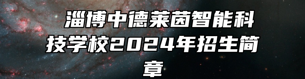  淄博中德莱茵智能科技学校2024年招生简章