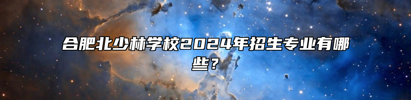 合肥北少林学校2024年招生专业有哪些？