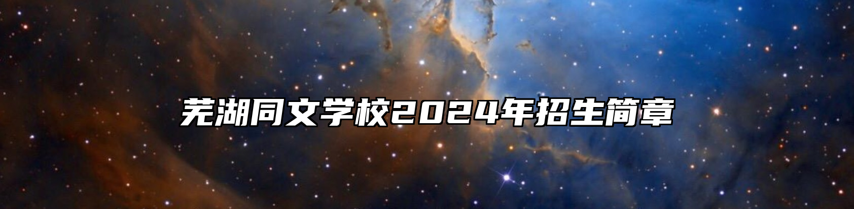 芜湖同文学校2024年招生简章
