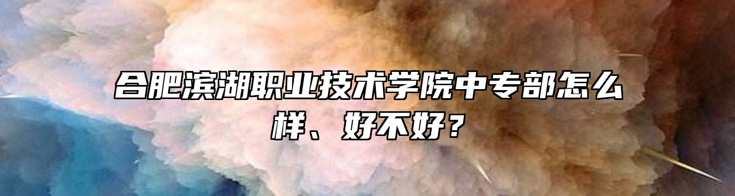 合肥滨湖职业技术学院中专部怎么样、好不好？