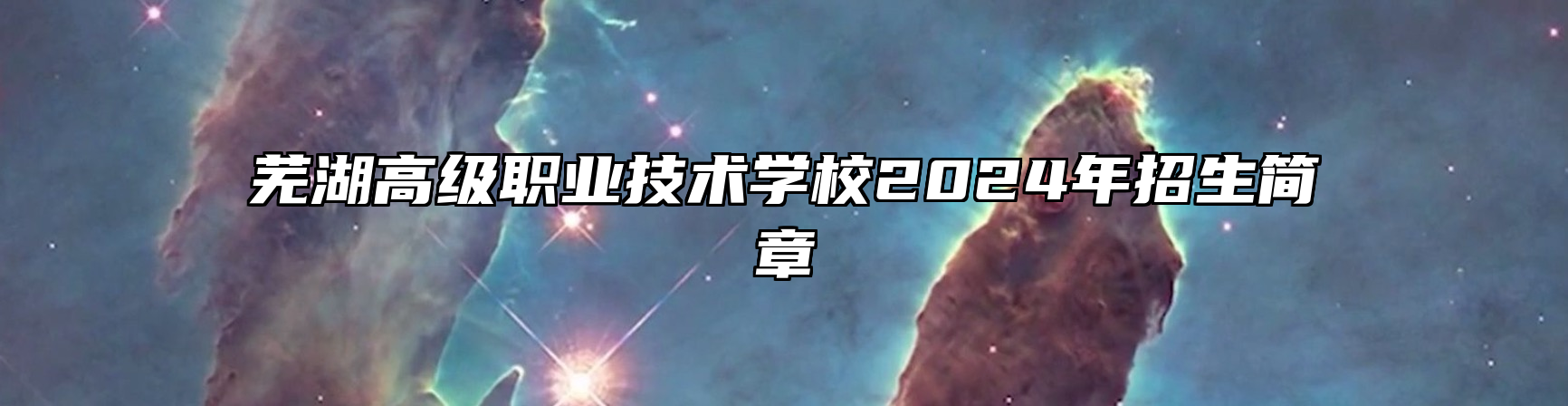 芜湖高级职业技术学校2024年招生简章