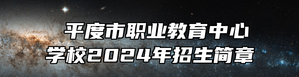  平度市职业教育中心学校2024年招生简章