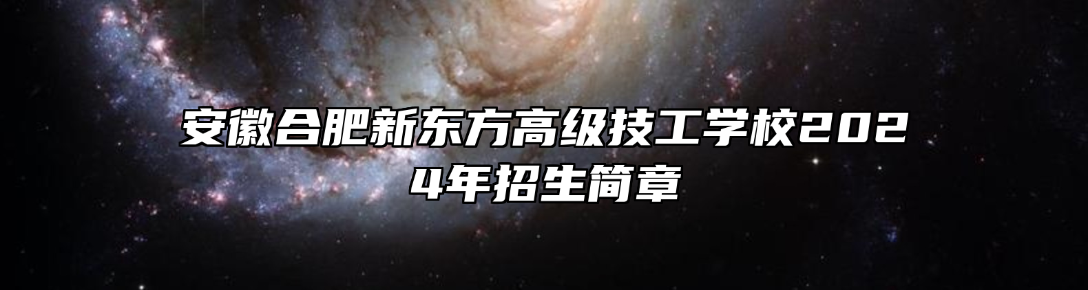 安徽合肥新东方高级技工学校2024年招生简章
