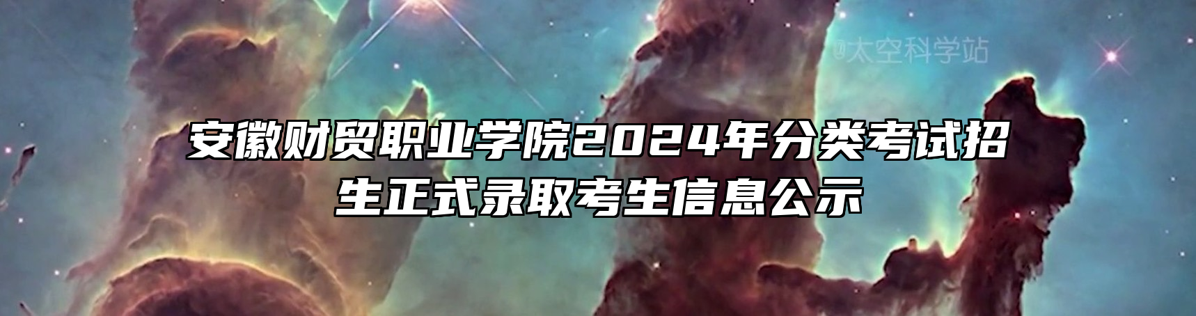 安徽财贸职业学院2024年分类考试招生正式录取考生信息公示
