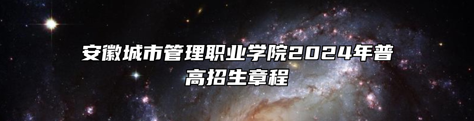 安徽城市管理职业学院2024年普高招生章程