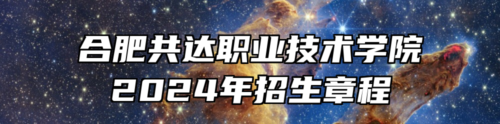 合肥共达职业技术学院2024年招生章程