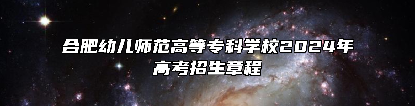 合肥幼儿师范高等专科学校2024年高考招生章程
