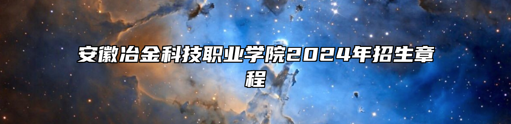 安徽冶金科技职业学院2024年招生章程