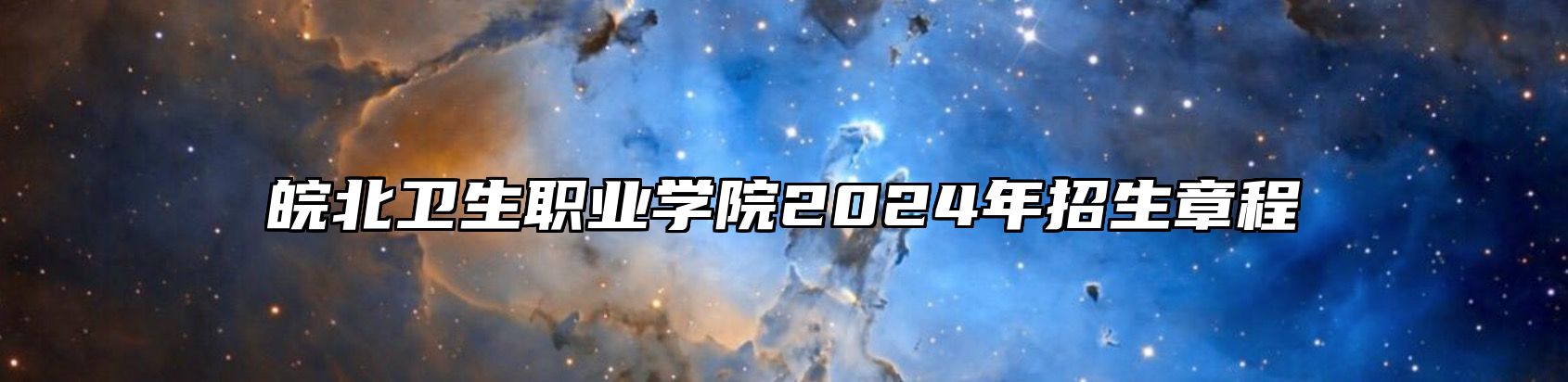 皖北卫生职业学院2024年招生章程