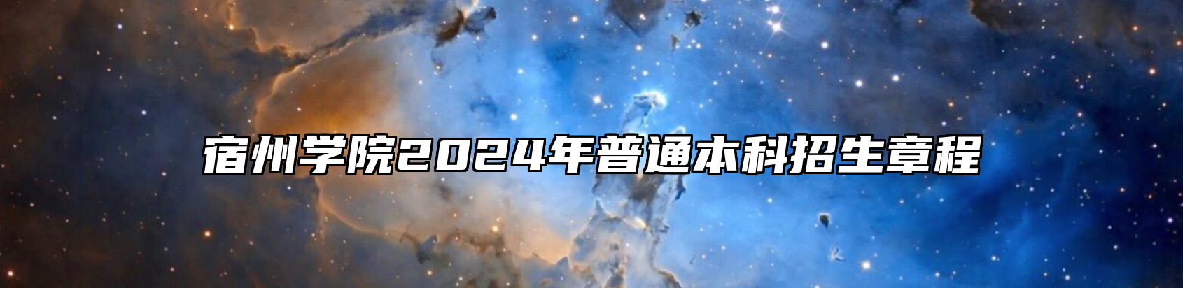 宿州学院2024年普通本科招生章程