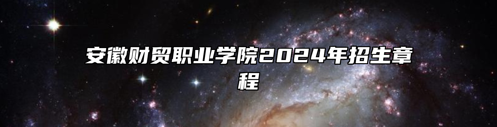 安徽财贸职业学院2024年招生章程