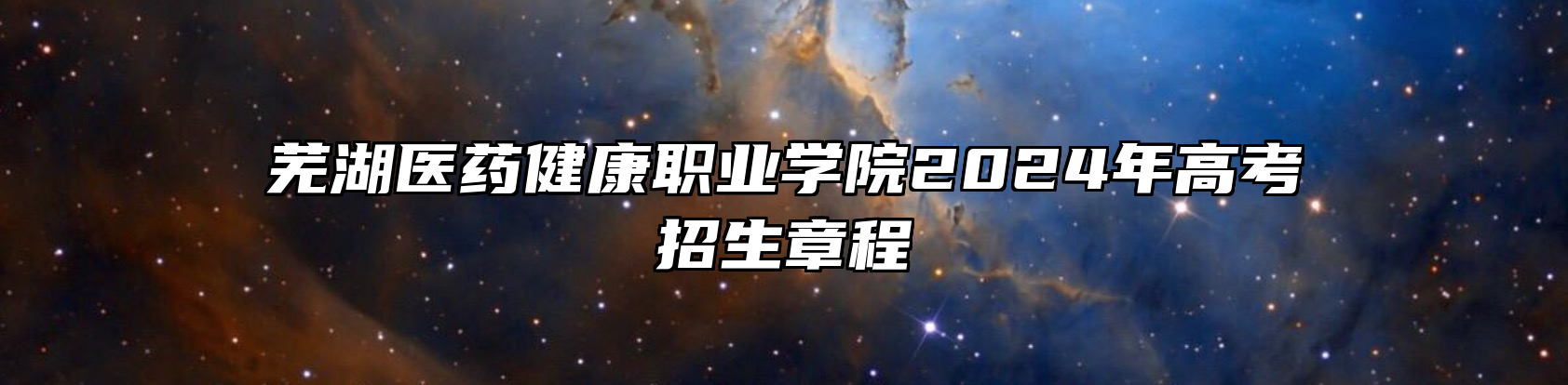 芜湖医药健康职业学院2024年高考招生章程