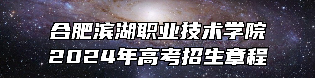 合肥滨湖职业技术学院2024年高考招生章程