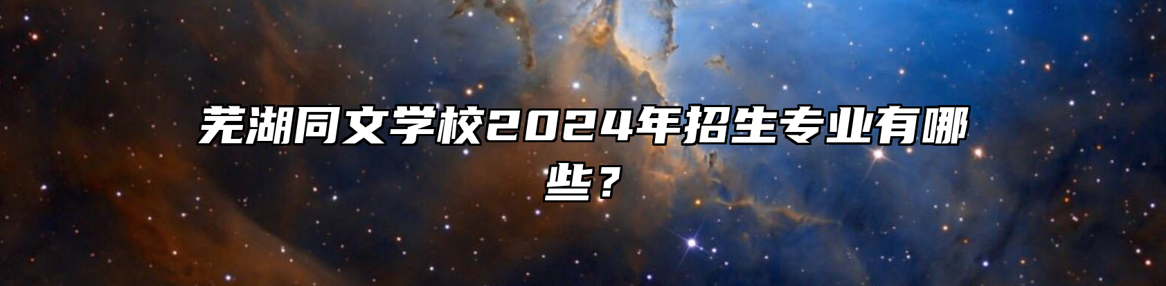 芜湖同文学校2024年招生专业有哪些？