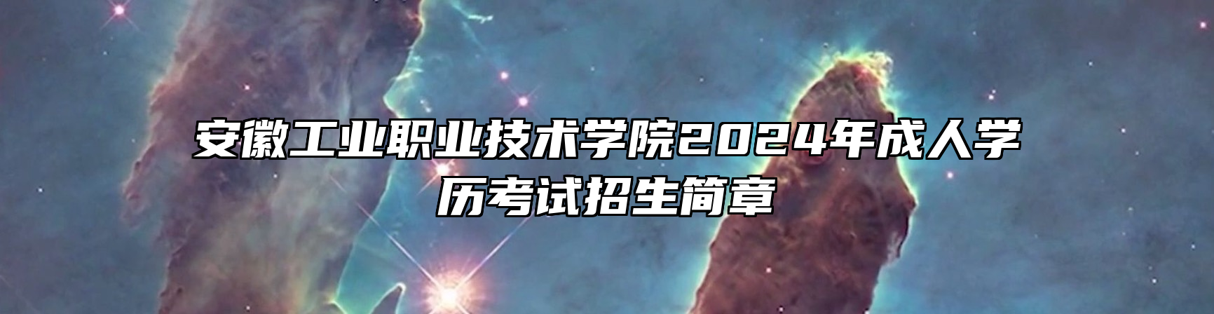 安徽工业职业技术学院2024年成人学历考试招生简章
