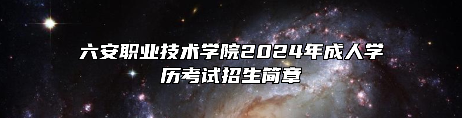 六安职业技术学院2024年成人学历考试招生简章