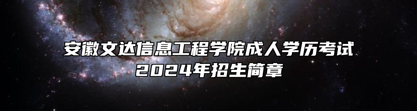 安徽文达信息工程学院成人学历考试2024年招生简章