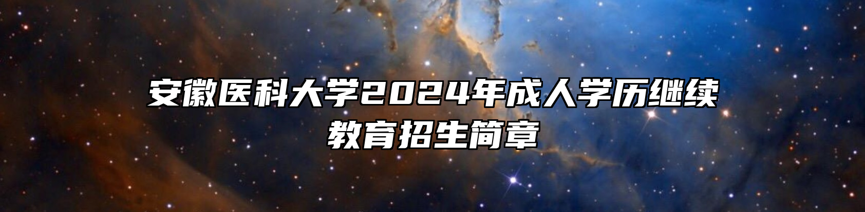 安徽医科大学2024年成人学历继续教育招生简章