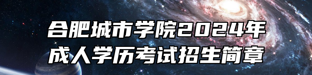 合肥城市学院2024年成人学历考试招生简章