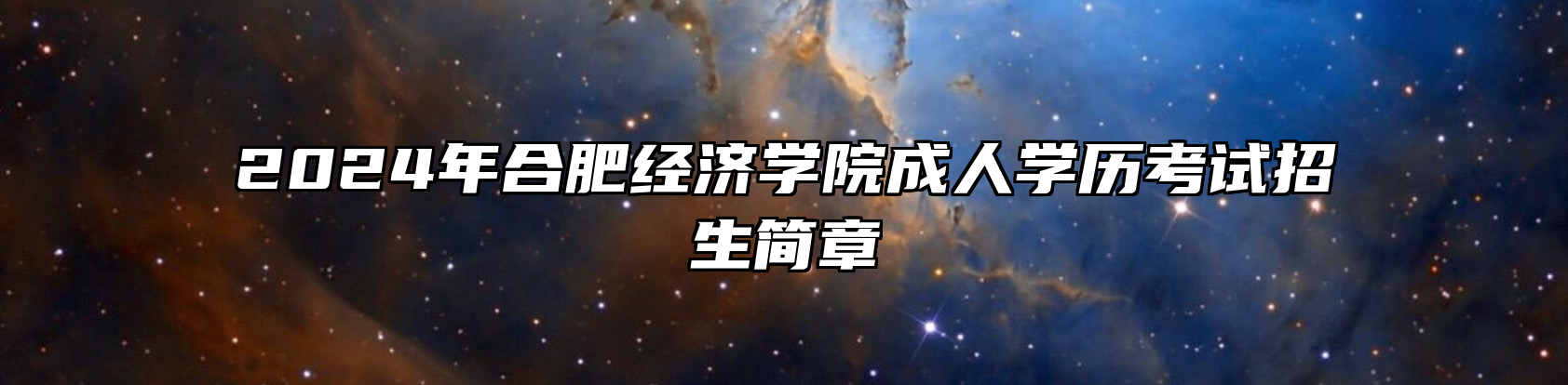2024年合肥经济学院成人学历考试招生简章