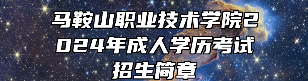 马鞍山职业技术学院2024年成人学历考试招生简章
