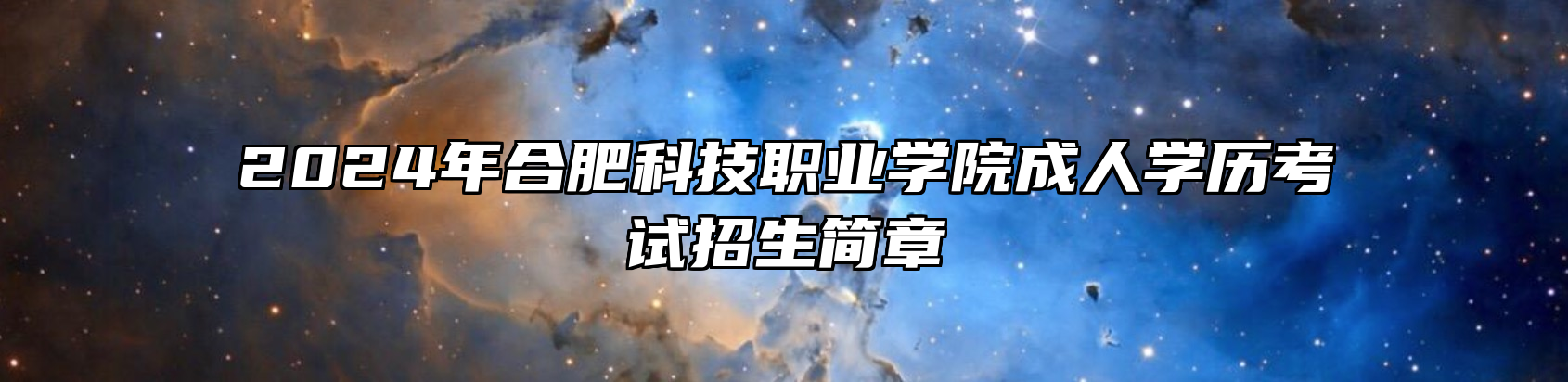 2024年合肥科技职业学院成人学历考试招生简章