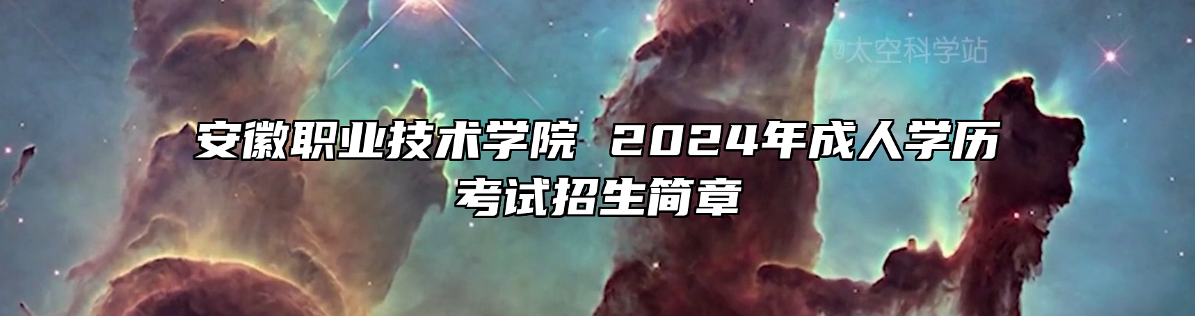 安徽职业技术学院 2024年成人学历考试招生简章