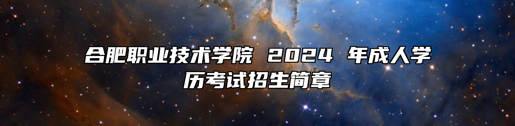 合肥职业技术学院 2024 年成人学历考试招生简章