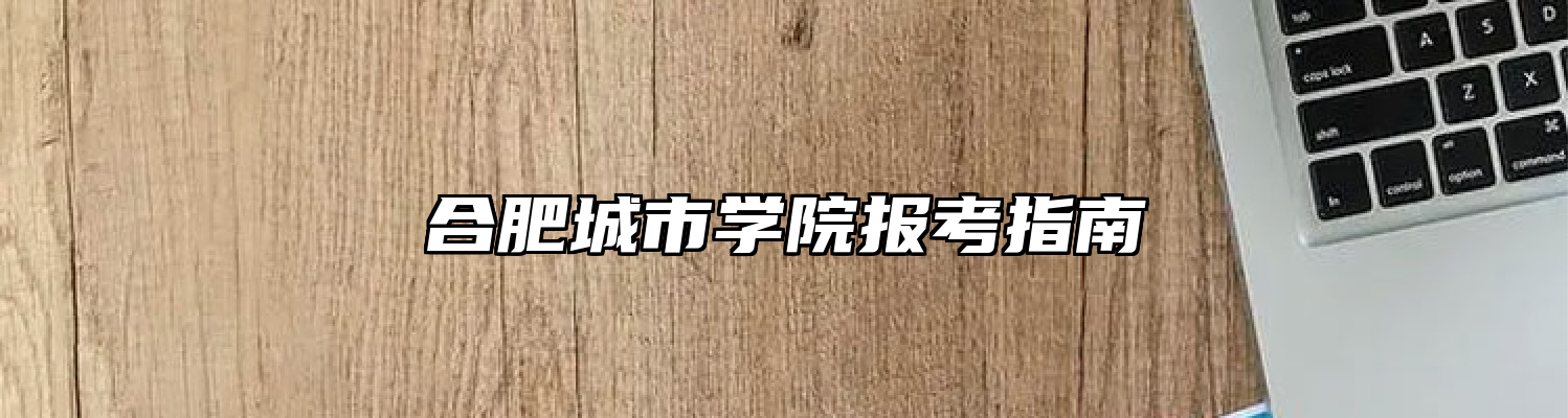 合肥城市学院报考指南