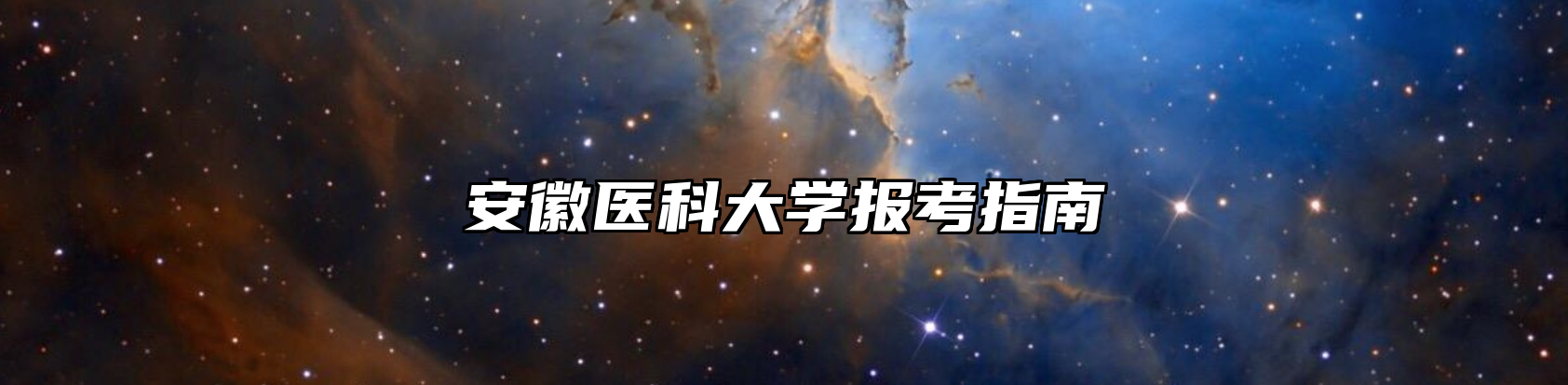 安徽医科大学报考指南