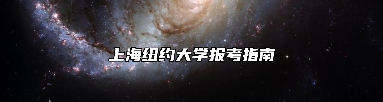 上海纽约大学报考指南