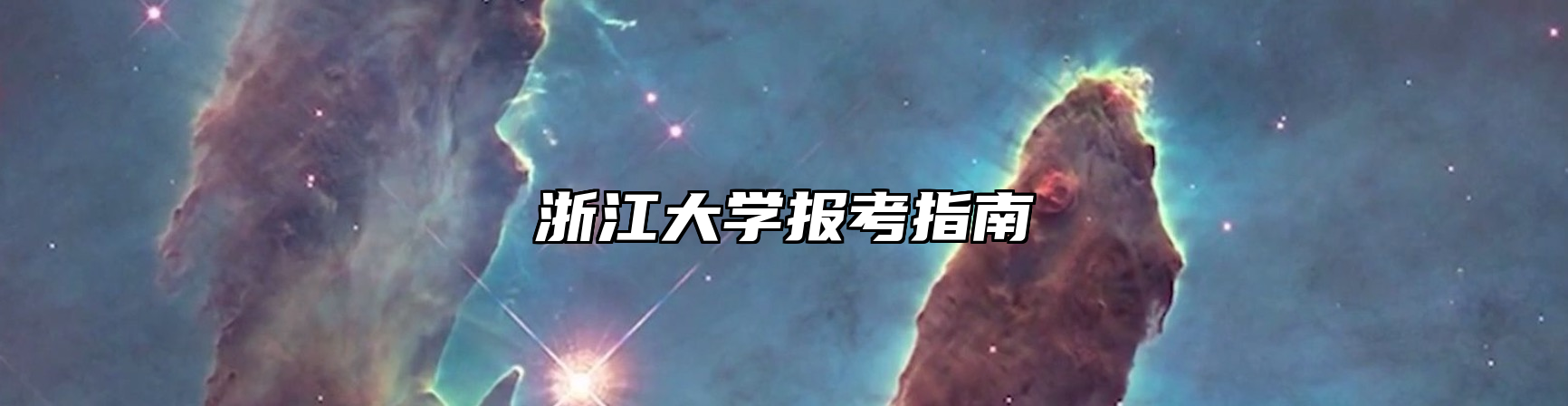 浙江大学报考指南