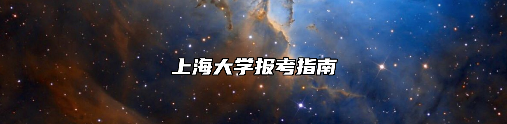 上海大学报考指南