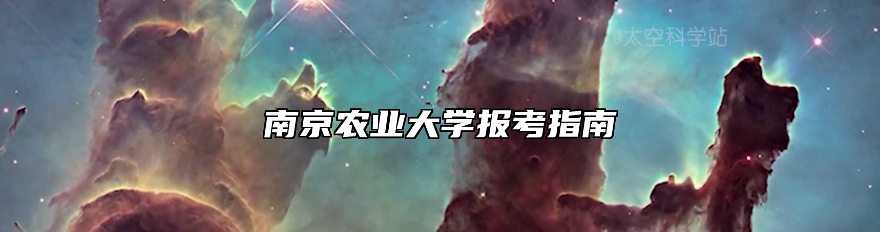 南京农业大学报考指南