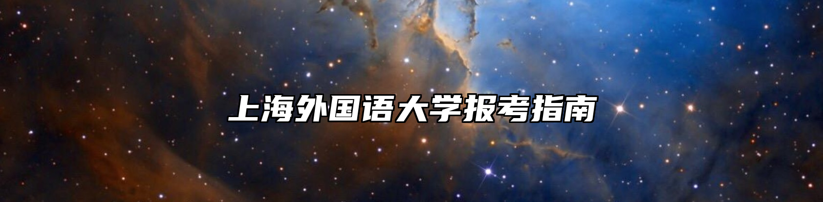 上海外国语大学报考指南