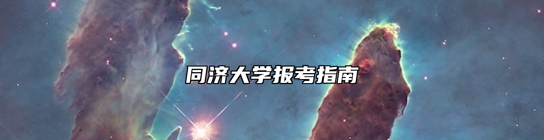 同济大学报考指南