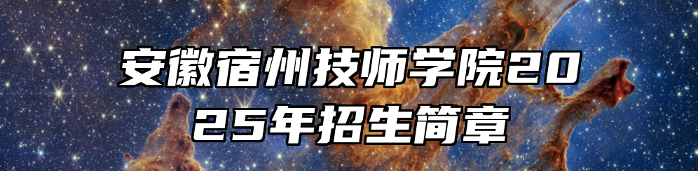 安徽宿州技师学院2025年招生简章