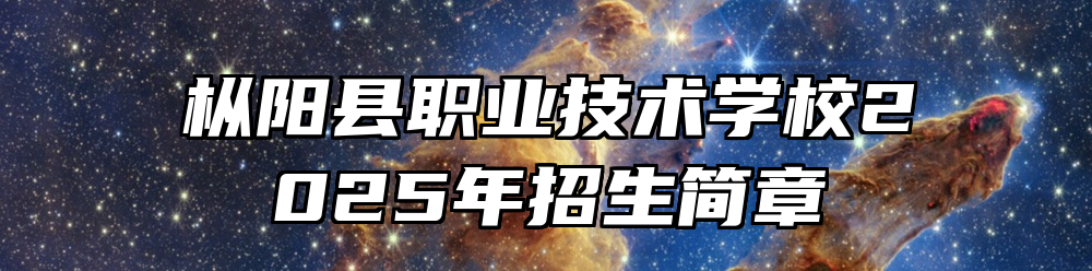 枞阳县职业技术学校2025年招生简章