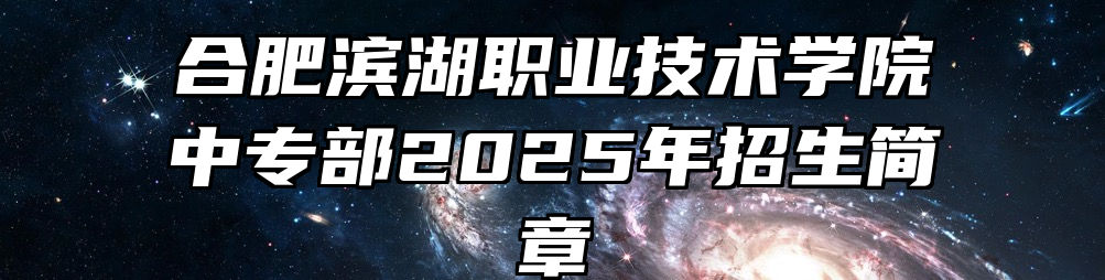 合肥滨湖职业技术学院中专部2025年招生简章