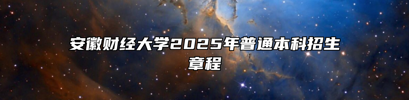 安徽财经大学2025年普通本科招生章程