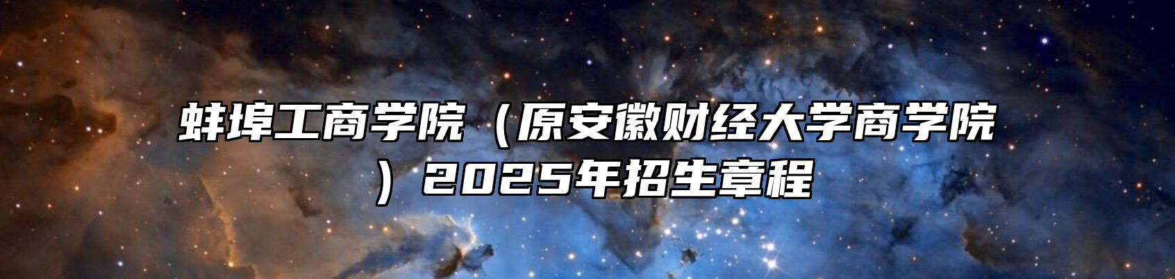 蚌埠工商学院（原安徽财经大学商学院）2025年招生章程
