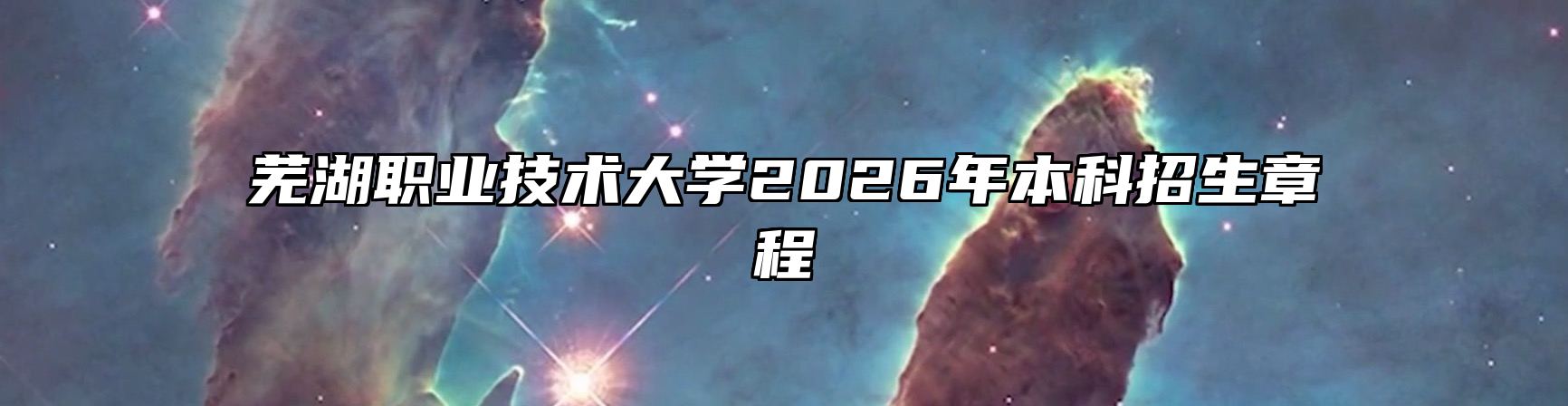 芜湖职业技术大学2026年本科招生章程